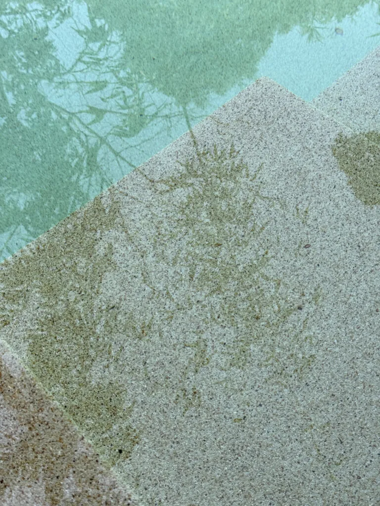 Close-up of the Polar White aggregate finish on submerged pool steps
