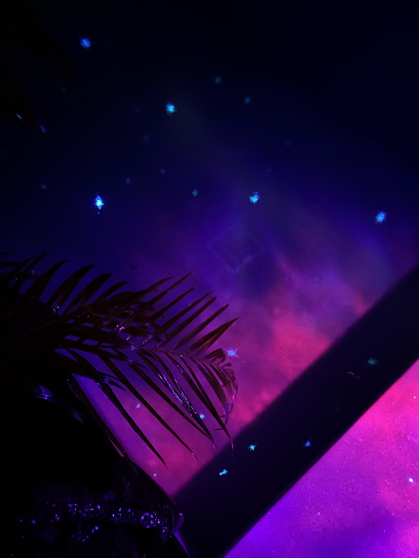 Blue fibre-optic points in a private villa pool in Phuket, with purple and pink projected colour